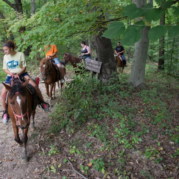 a group of people riding on the back of a horse