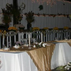 a kitchen with a sink and a window