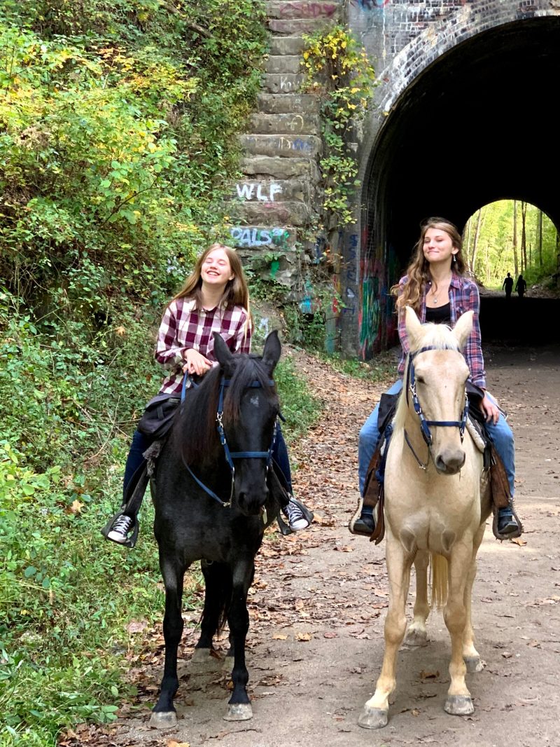 a group of people riding on the back of a horse