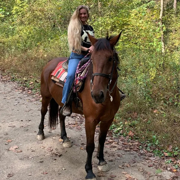 a person riding a horse
