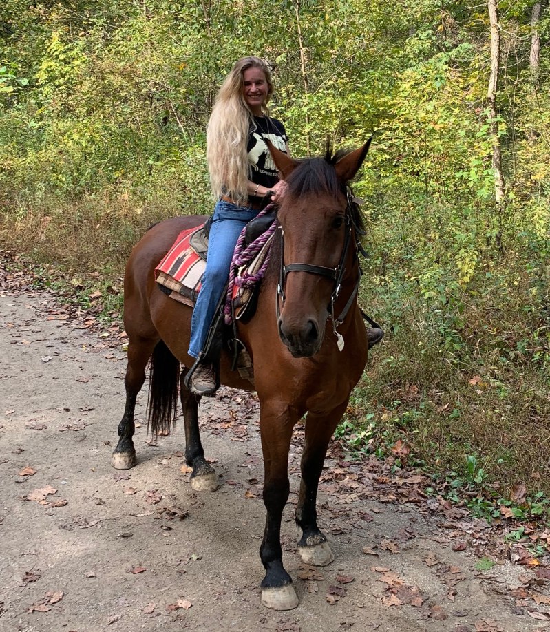 a person riding a horse