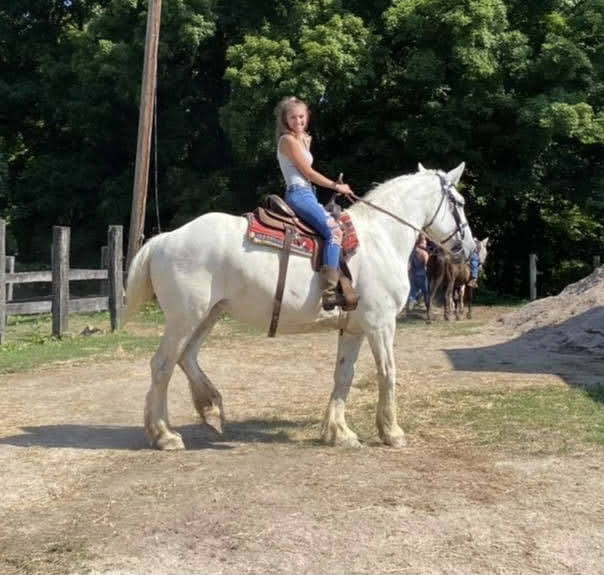 a person riding a horse