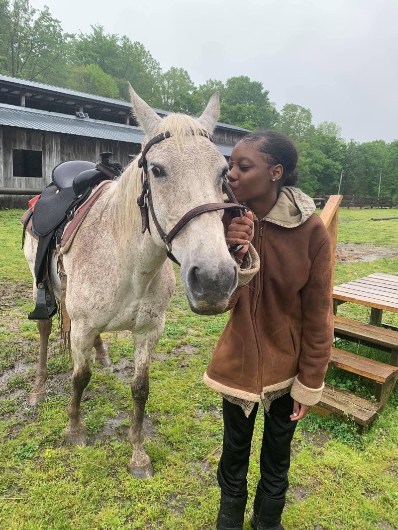 a person petting a horse