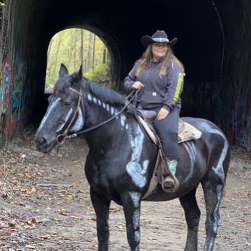 a person riding a horse