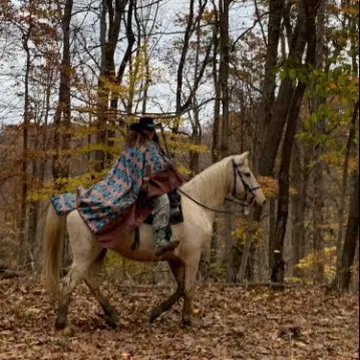 a brown horse standing next to a forest