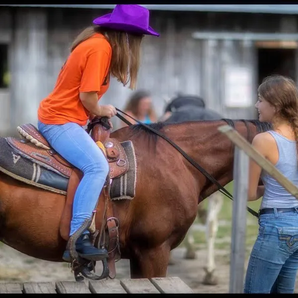 a woman riding on the back of a brown horse