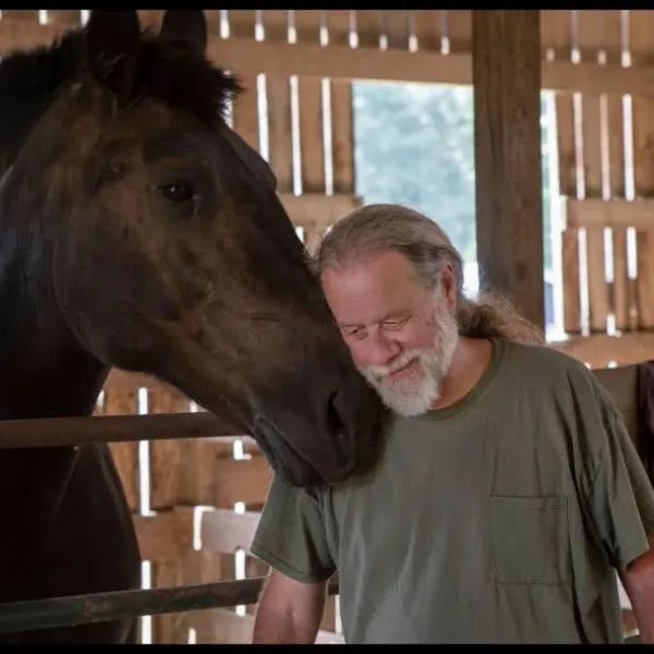a man on a horse in front of a window