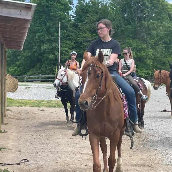 a group of people riding on the back of a brown horse